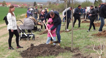 Rodiče se mohou přihlásit na sázení Stromů života