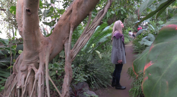 Nejen život cykasů popíší komentované prohlídky