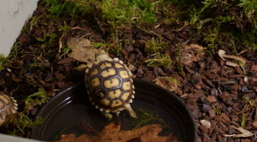 Magazín Zlín/Otrokovice 18. 3. 2023