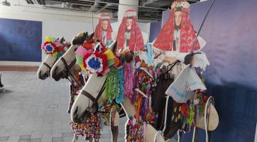 Dvě nové výstavy Muzea jihovýchodní Moravy ve Zlíně: jízda králů a nerostné poklady regionu