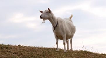 Magazín Uherské Hradiště 25. 3. 2023