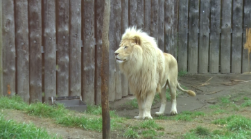 Magazín Hodonín 11. 3. 2023