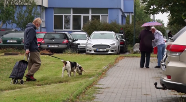 Poplatky za odpady a psy je možné zaplatit i v několika splátkách