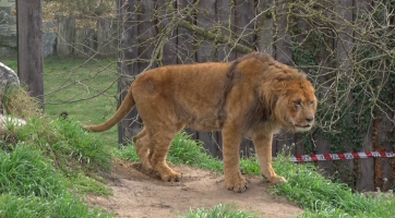 Magazín Hodonín 8. 4. 2023