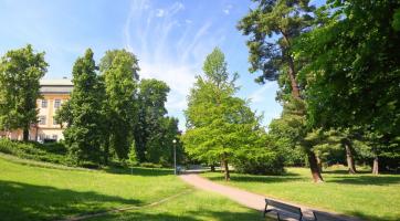 Chystá se celková revitalizace sadu Svobody. Vyplněním dotazníku se do příprav můžete zapojit i vy