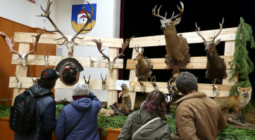Staré Město hostilo výstavu mysliveckých trofejí