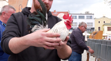 Broďané oslavili na Masarykově náměstí Den Země