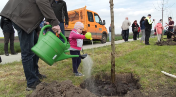 Čerství rodiče vysadili podél cyklostezky na Blatnici Alej života