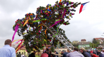 V Mistřicích postavili májku až na druhý pokus