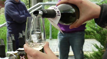 Pro milovníky vína budou k dispozici Otevřené sklepy