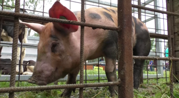 Magazín Zlínský kraj 17. 6. 2023