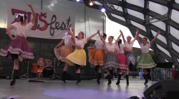 Veselští žáci se představili na ZUŠ festu