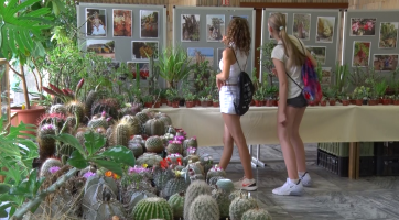 Výstava představila kaktusy a sukulenty ze Sumatry i Kanárských ostrovů