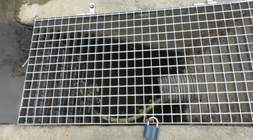 Monitoring kvality vody v  Bečvě se osvědčil