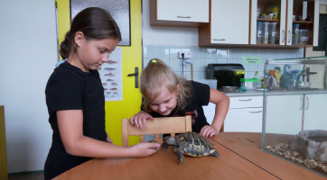 Děti se na táboře starají o zvířátka