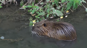 Magazín Kyjov 5. 8. 2023