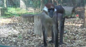 Magazín Hodonín 5. 8. 2023