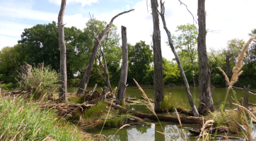 Slepá ramena lákají k procházce přírodou