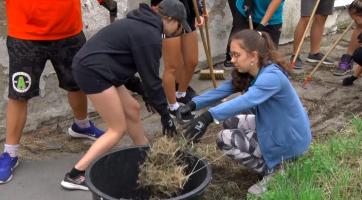 Studenti se opět pustili do zkrášlování města