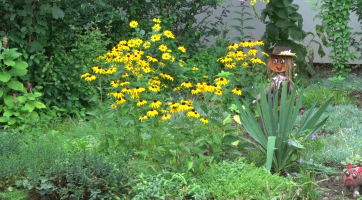 Výzdoby do soutěže Kvetoucí Hodonín můžete přihlašovat do konce srpna