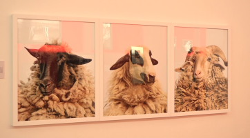 Slovácké muzeum představuje práce Institutu tvůrčí fotografie 