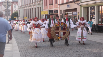Úroda ve Zlínském kraji je ze dvou třetin pod střechou