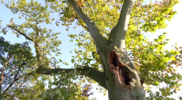 Magazín Uherské Hradiště 30. 9. 2023