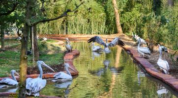 Nová expozice zavede návštěvníky zlínské zoo do Indie