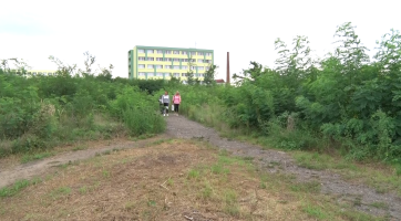 Hodonín hledá název pro nový park v Bažantnici 