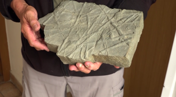 Nová výstava ukazuje vznik stop různých živočichů v dávných geologických dobách