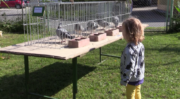 Chovatelé uspořádali pro děti přehlídku zvířat