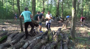 V příměstském lese v Bažantnici vznikly tři palouky