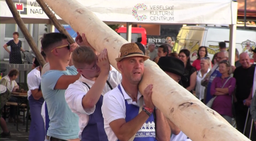 Hody ve Veselí zahájilo stavění máje