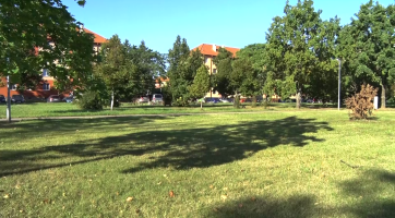 Ve čtvrté potornádové výsadbě přibude v Bažantnici na dvě stě stromů