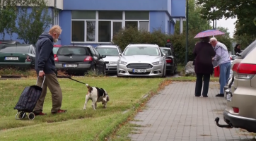 Poplatky za odpady a psy je potřeba zaplatit do konce října