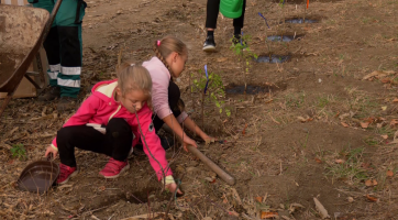 Komu se nelení, tomu se zelení