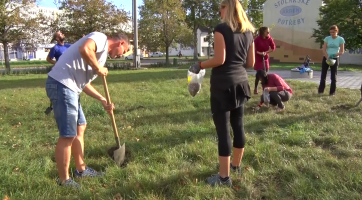 Kapesní park v Hodoníně rozzáří na jaře narcisy