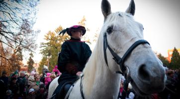 Vždy se trochu obáváme, jestli klisna něco nevyvede, říká organizátorka zlínského průvodu Martínků 