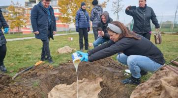 Stromy v Centrálním parku chrání speciální ekologické hydrogely. Vyvinuli je vědci z UTB 