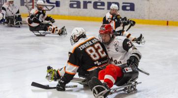 Sledge hokejisty čeká Olomouc. Pomůže stadion, kde i tučňáci chodí v kabátu?