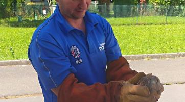 Luhačovičtí strážníci často řeší i kuriózní odchyty zvířat