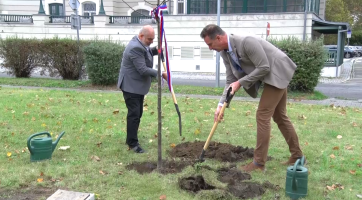 Lípa přátelství připomíná dvacet let spolupráce Hodonína a Holíče