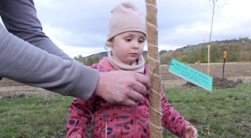Alej života v Kyjově už tvoří na dvě stě stromů