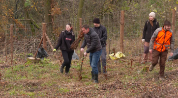 Gymnazisti znovu zalesnili paseku na Rubaniskách sedmi a půl tisíci sazenic