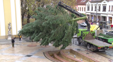 Vánoční strom letos do Hodonína doputoval z Rohatce