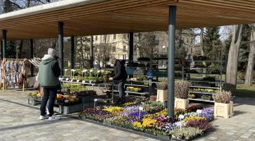 Tržiště Pod Kaštany se od ledna uzavře. Proč?