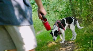 Otrokovice po deseti letech zvyšují poplatek za psy