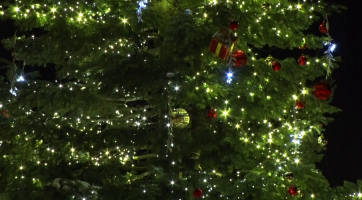 Rozsvícení vánočního stromu v Kyjově provázely adventní trhy