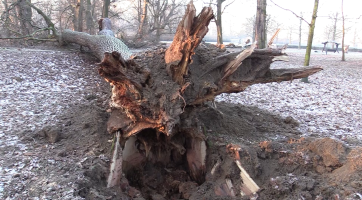 Magazín Veselí nad Moravou 13. 1. 2024