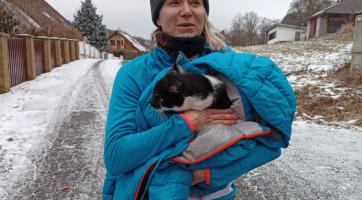 Kocourka Lemyho museli z roury zachraňovat hasiči. Zabral až velitel a nabízený párek